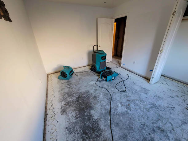 Best 24-hour water damage restoration  in Saratoga, CA