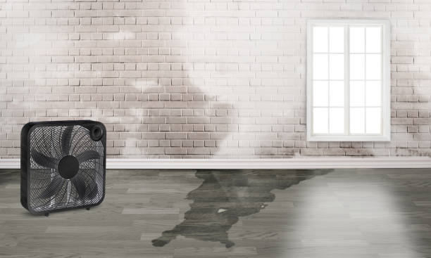Best 24/7 water damage repair  in Saratoga, CA