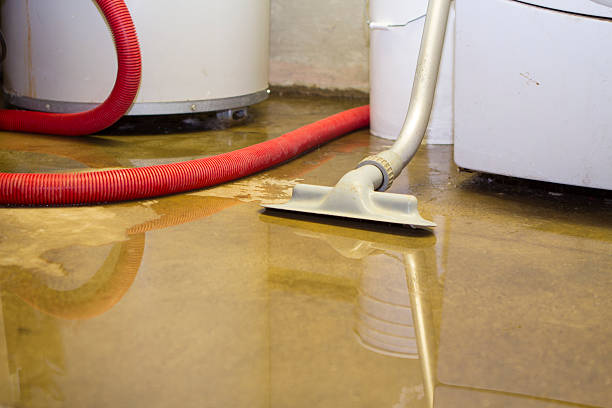 Best Water damage restoration near me  in Saratoga, CA